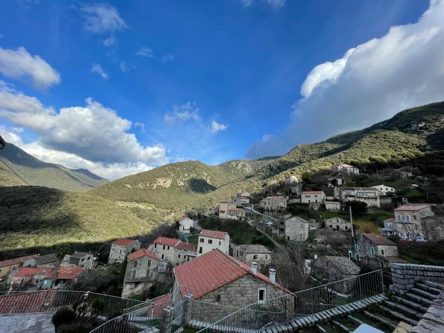 Casa Arena Authentique Maison De Village Avec Piscine Au Coeur De L'Alta Rocca - Zoza Esterno foto