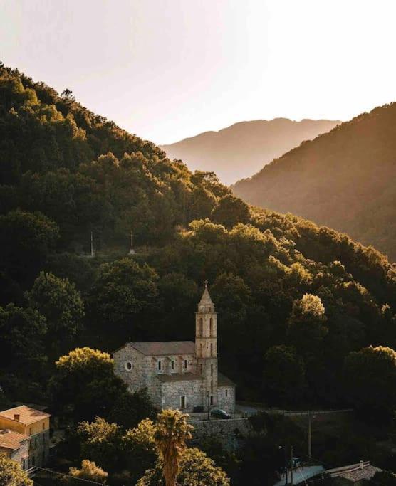 Casa Arena Authentique Maison De Village Avec Piscine Au Coeur De L'Alta Rocca - Zoza Esterno foto