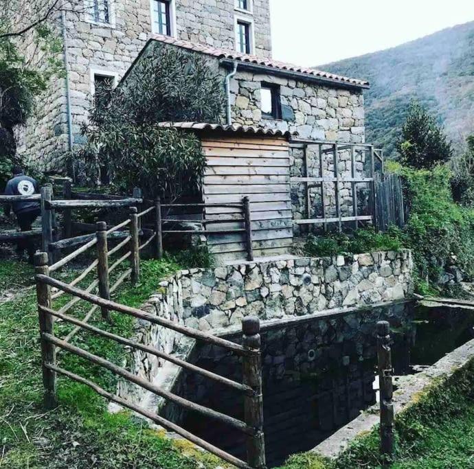 Casa Arena Authentique Maison De Village Avec Piscine Au Coeur De L'Alta Rocca - Zoza Esterno foto
