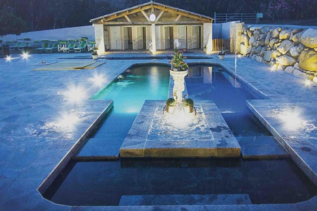 Casa Arena Authentique Maison De Village Avec Piscine Au Coeur De L'Alta Rocca - Zoza Esterno foto
