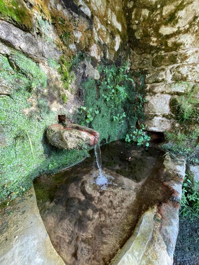 Casa Arena Authentique Maison De Village Avec Piscine Au Coeur De L'Alta Rocca - Zoza Esterno foto