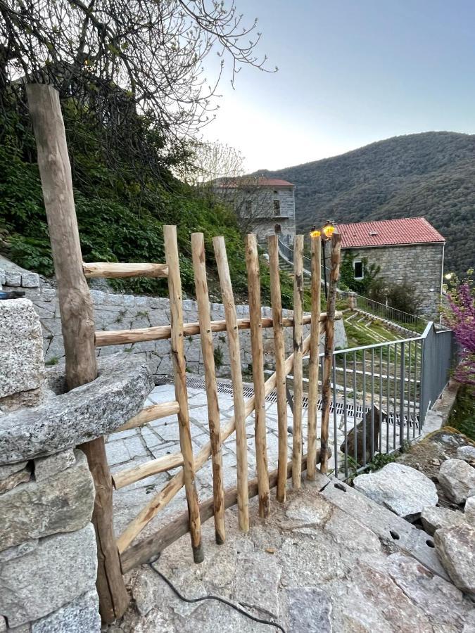 Casa Arena Authentique Maison De Village Avec Piscine Au Coeur De L'Alta Rocca - Zoza Esterno foto