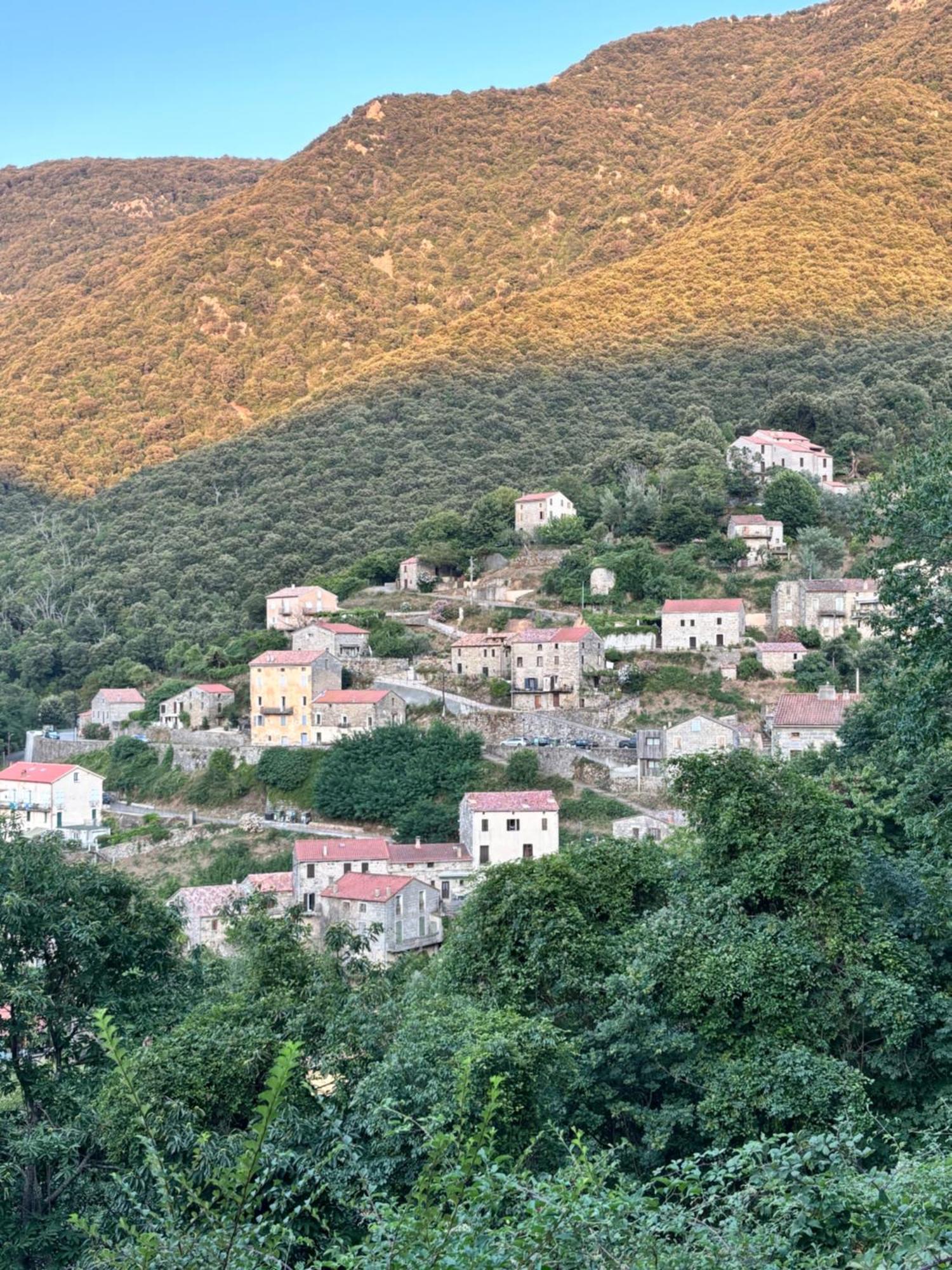 Casa Arena Authentique Maison De Village Avec Piscine Au Coeur De L'Alta Rocca - Zoza Esterno foto